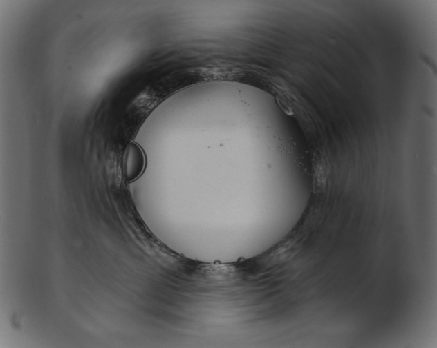 X0000103220429200809111512