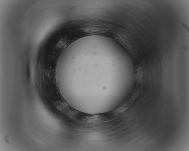 X0000103220430200809111512