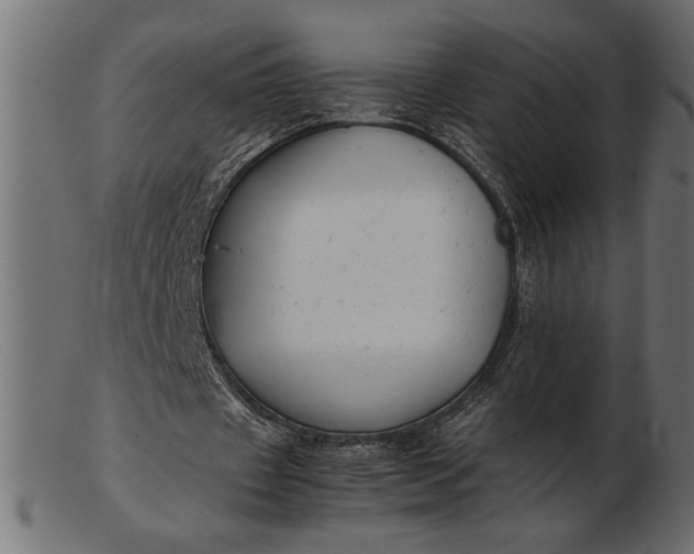 X0000103220433200809111511