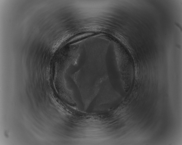 X0000103220434200809111511