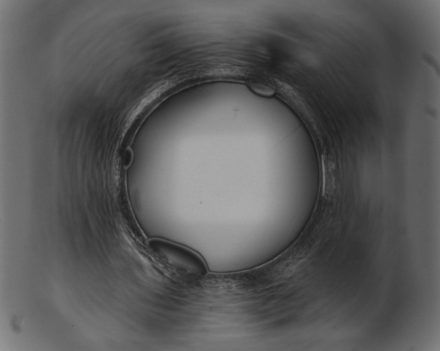 X0000103220435200809111511