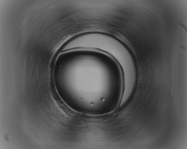 X0000103220436200809111511