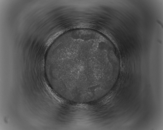 X0000103220437200809111511