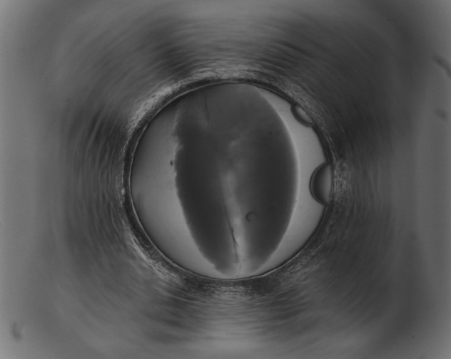 X0000103220438200809111511