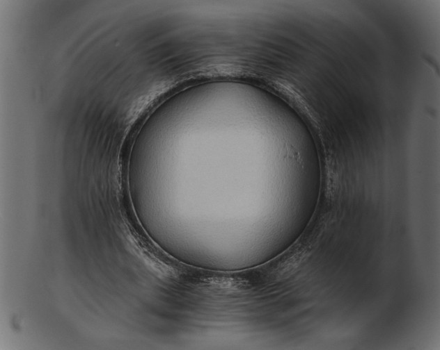 X0000103220439200809111511