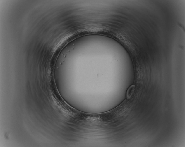 X0000103220440200809111511