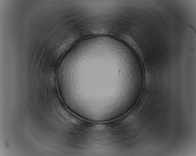 X0000103220441200809111511