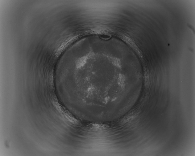 X0000103220442200809111511