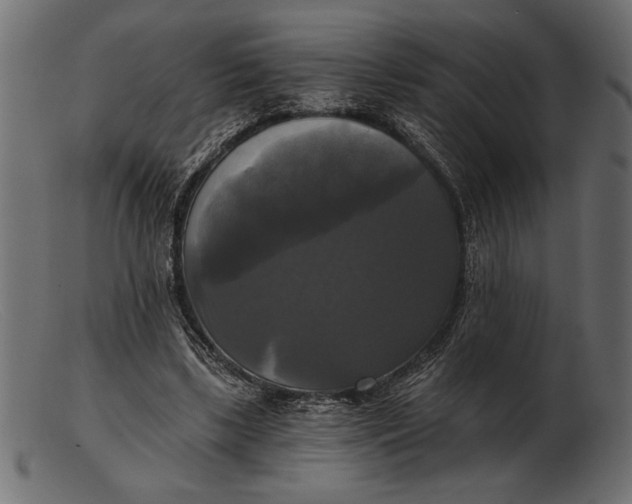 X0000103220443200809111511