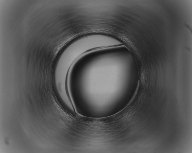 X0000103220444200809111511