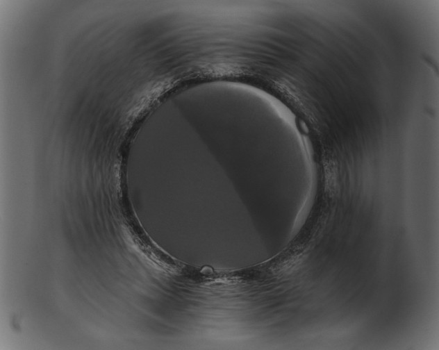 X0000103220447200809111511