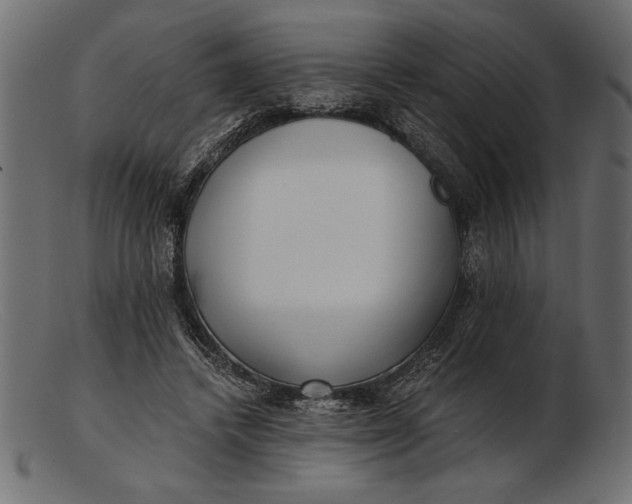 X0000103220448200809111511