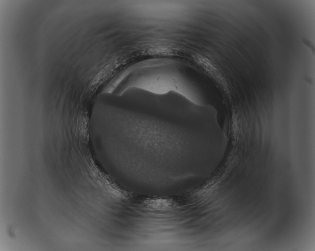 X0000103220449200809111511