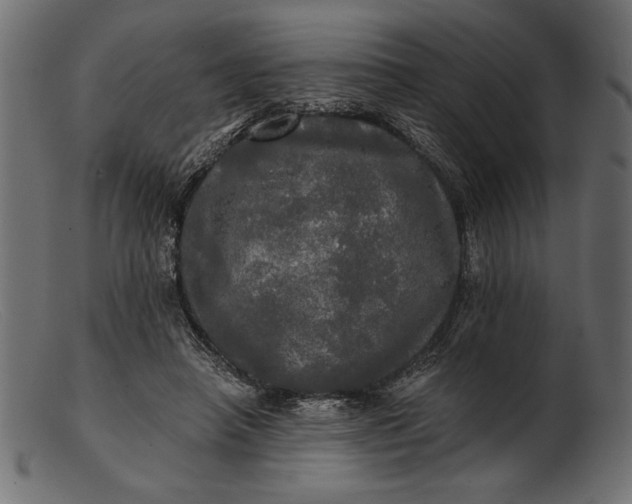 X0000103220450200809111511