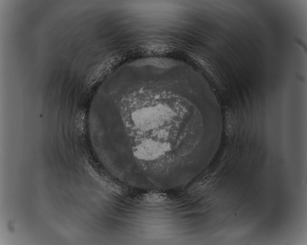 X0000103220451200809111511