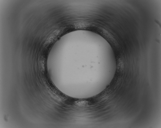 X0000103220452200809111511