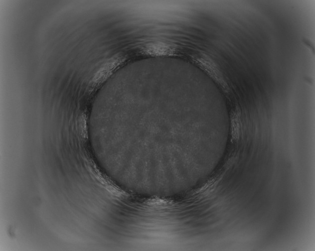 X0000103220453200809111511