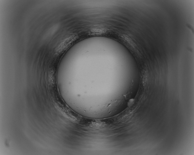 X0000103220455200809111511