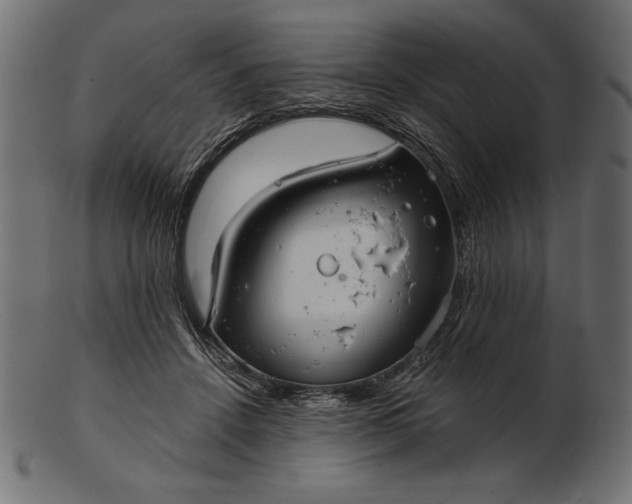 X0000103220456200809111511