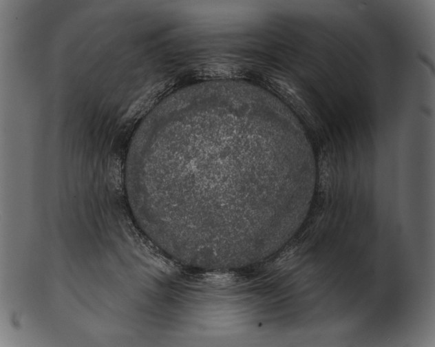 X0000103220457200809111511