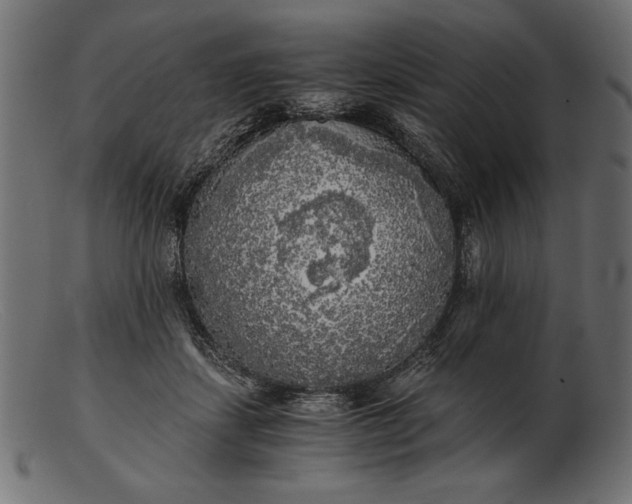 X0000103220459200809111511