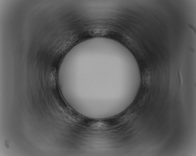 X0000103220460200809111512