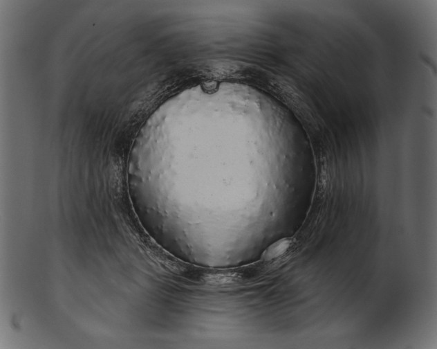 X0000103220461200809111512