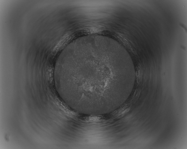 X0000103220462200809111512