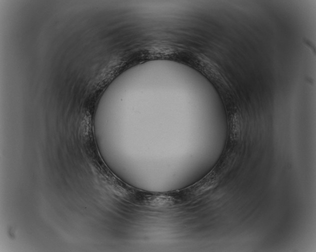 X0000103220463200809111512