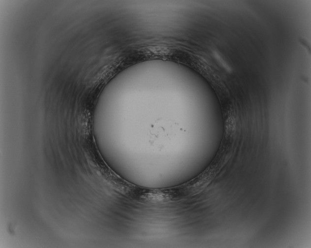 X0000103220464200809111512