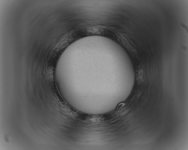 X0000103220466200809111512