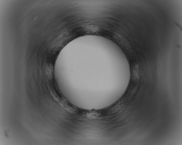 X0000103220468200809111512