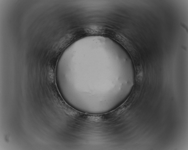 X0000103220469200809111512