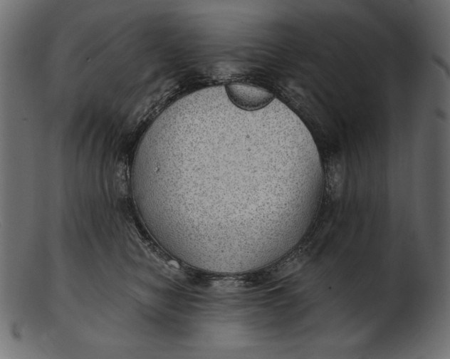 X0000103220470200809111512