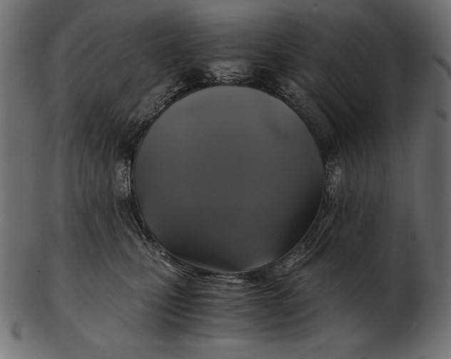 X0000103220471200809111512