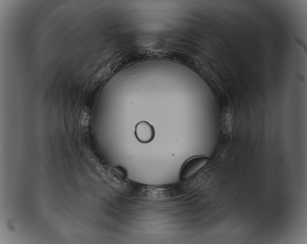 X0000103220472200809111512