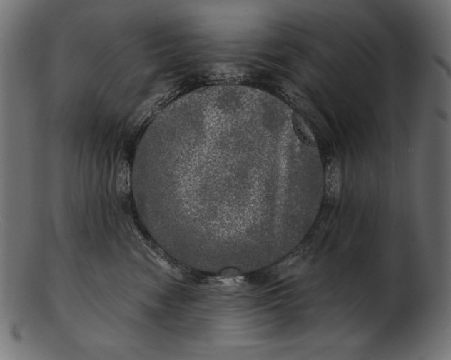 X0000103220474200809111512