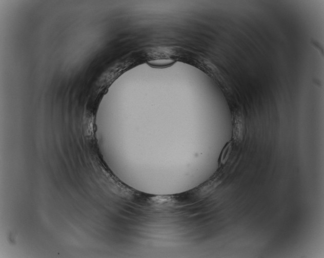 X0000103220477200809111512