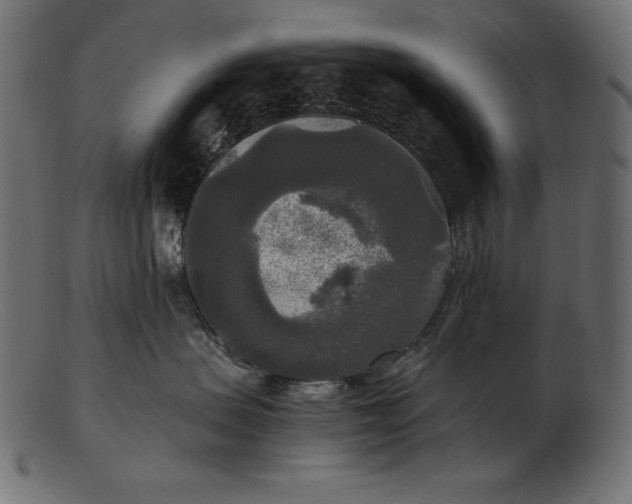 X0000103220479200809111512