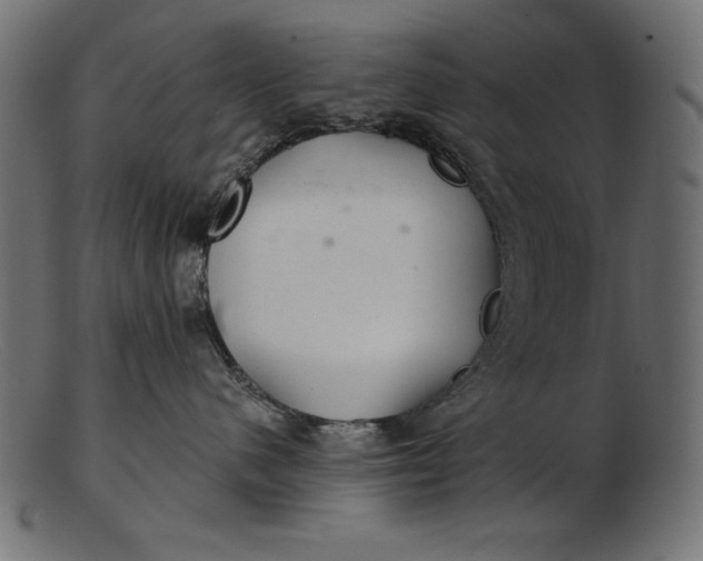 X0000103220480200809111512