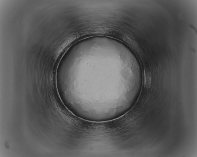 X0000103220483200809111511