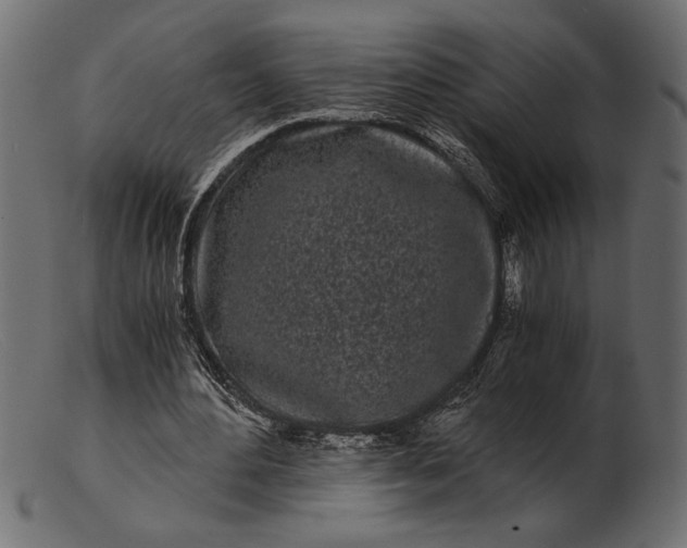 X0000103220484200809111511