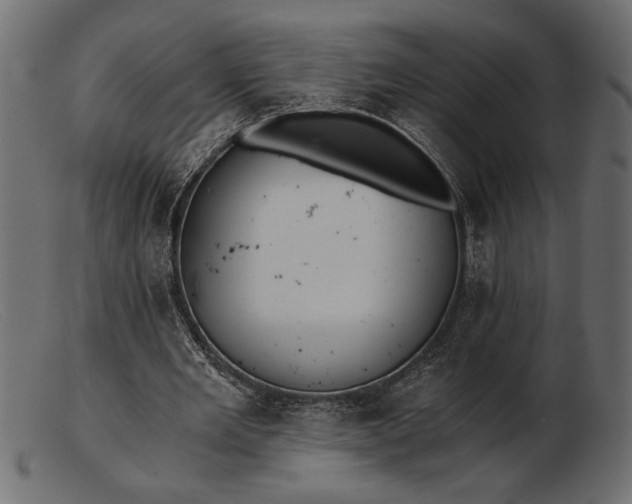 X0000103220485200809111511