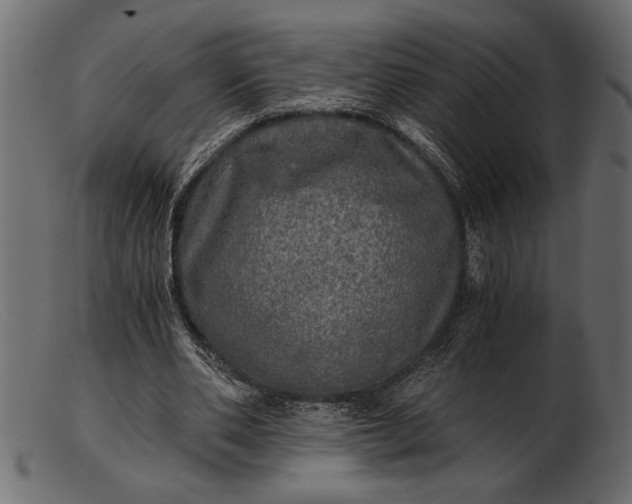 X0000103220486200809111511