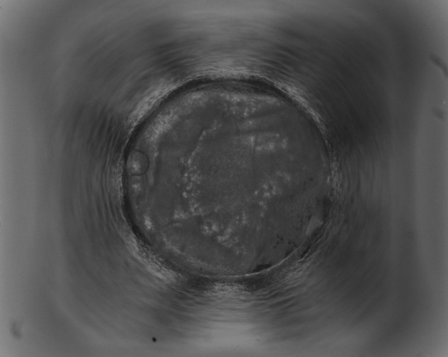 X0000103220487200809111511