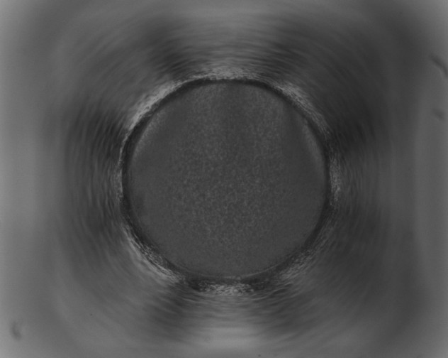 X0000103220488200809111511