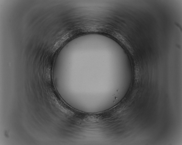 X0000103220489200809111511