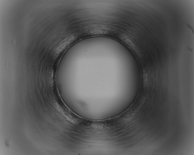 X0000103220490200809111511