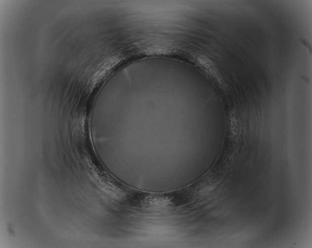 X0000103220491200809111511