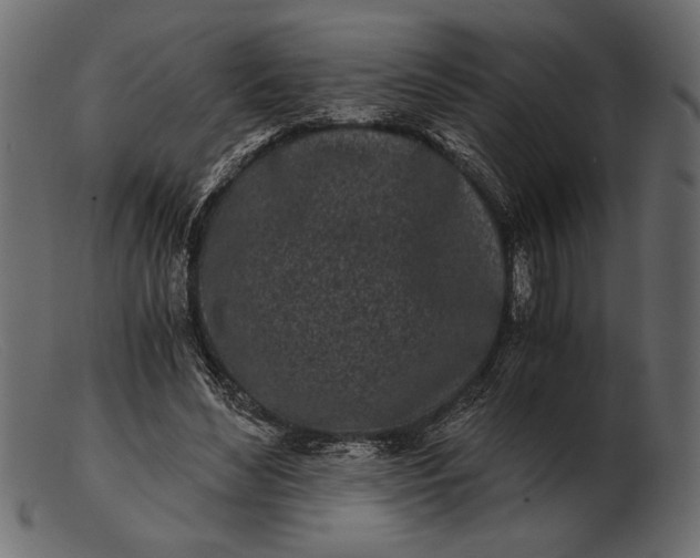 X0000103220492200809111511